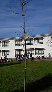 Dia da Floresta Autóctone